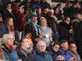 IMG_7334-500