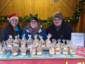 IMG-20221211-WA0000-800