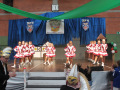 IMG_1506-500