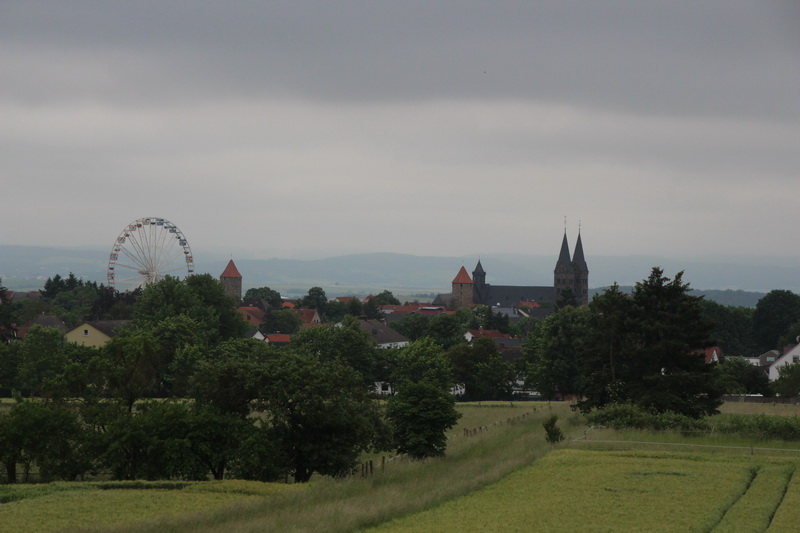 IMG_4419-800
