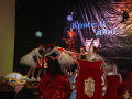 IMG_6452-800