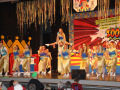 IMG_2055-800