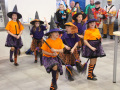 23-IMG_0225-800